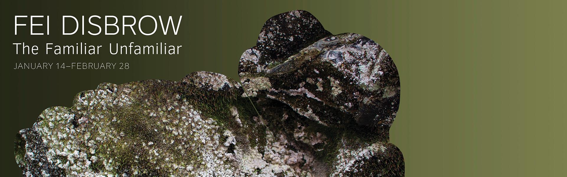 Fei Disbrow, On the Precipice, 2025.